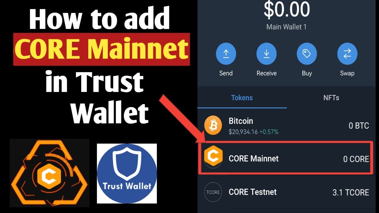 How to Add Core Mainnet to MetaMask Wallet