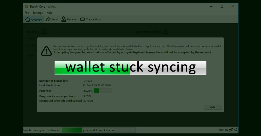 My Electrum Wallet is not Connecting | Guides and Documentation