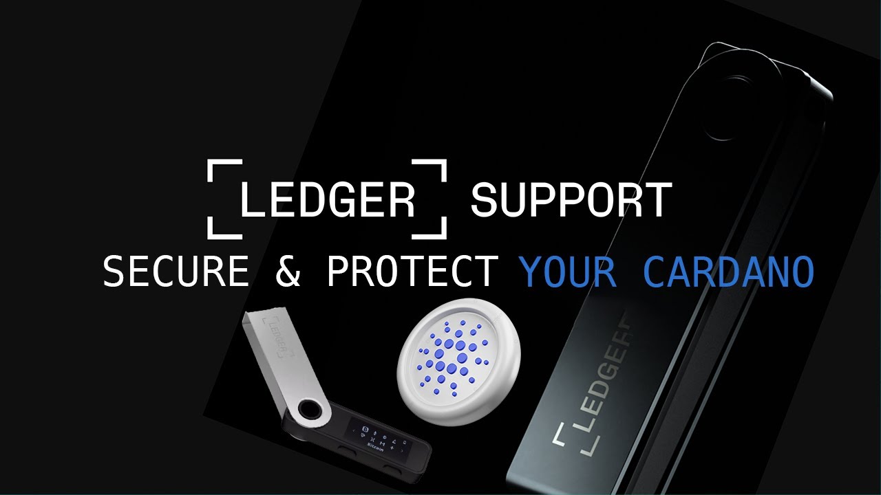 Staking Cardano on Ledger? Our Guide can Help!