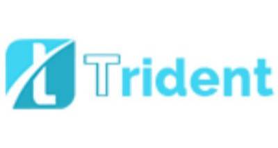 Private Equity List | Trident Crypto Fund