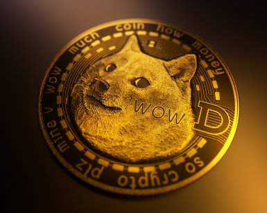 1 DOGE to USD - Dogecoins to US Dollars Exchange Rate