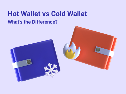 Hot Wallet vs Cold Wallet: Which is the Safer Choice for Your Cryptocurrencies? - Webisoft Blog