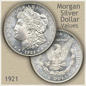 1 dollar - Morgan Dollar, USA - Coin value - bitcoinlog.fun