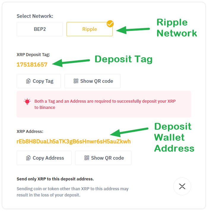 Top XRP Rich Address List | CoinCarp