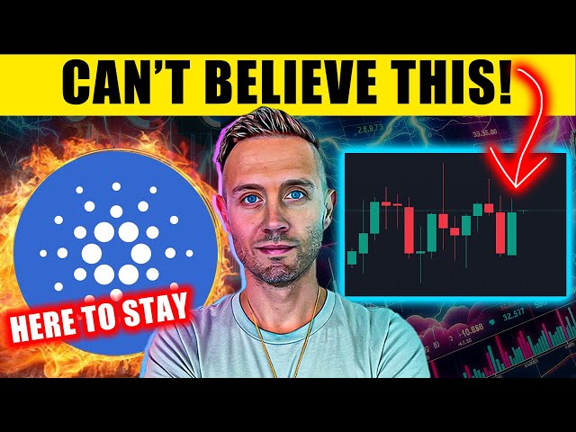 Cardano Will Thrive in Next Bull Cycle: Crypto Capital Venture Founder