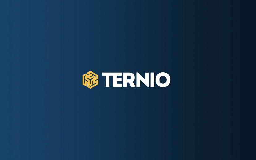 Ternio USD (TERN-USD) Cryptocurrency Profile & Facts - Yahoo Finance