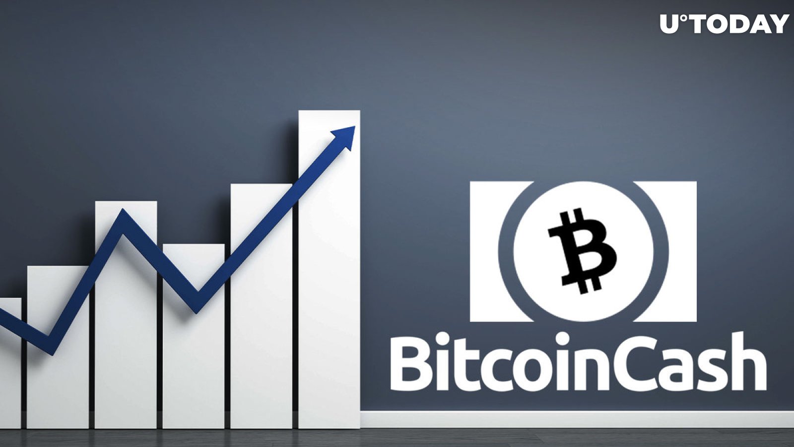 bitcoinlog.fun Markets | Price, Charts, News