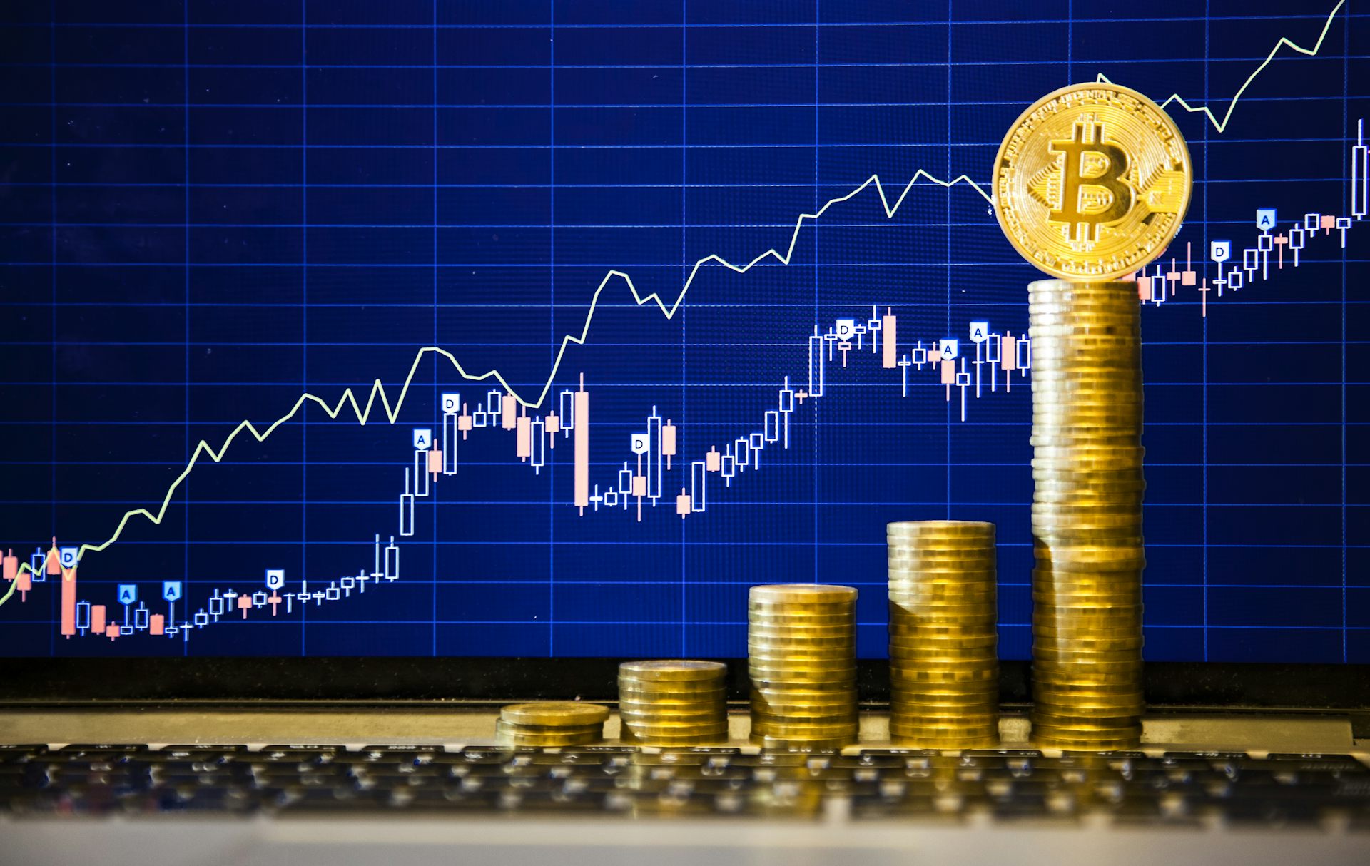 Live Bitcoin Price: BTC to USD Price Charts & History