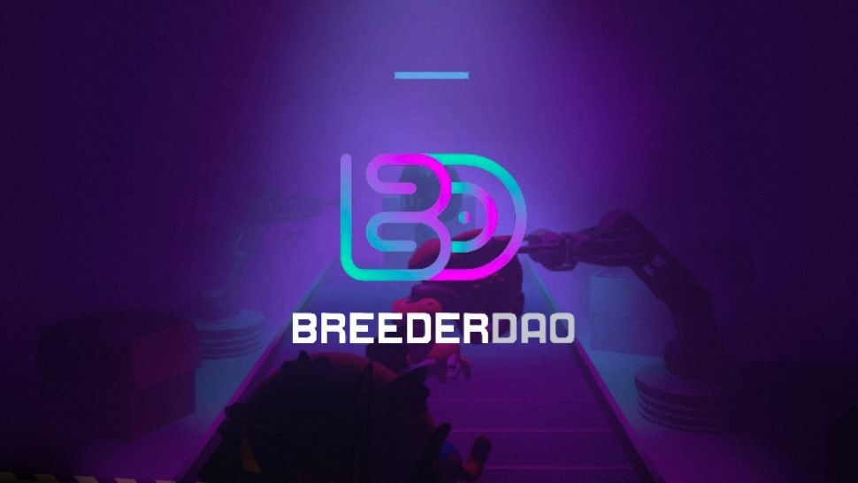 BreederDAO (BREED) IDO Funding Rounds, Token Sale Review & Tokenomics Analysis | bitcoinlog.fun