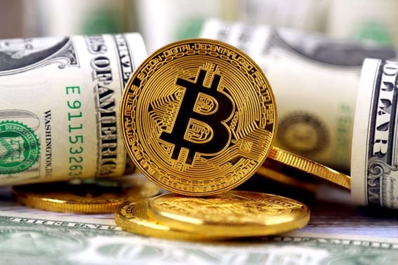 BTC to USD Forecast: Convert Bitcoin to US Dollar – Forbes Advisor INDIA