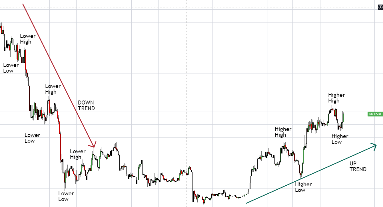 Top Cryptocurrency Prices and Market Cap