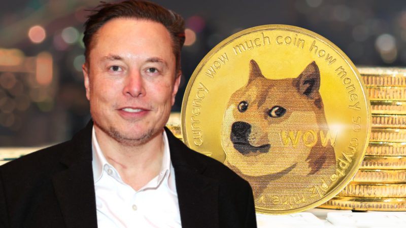 Elon Musk advocates Dogecoin as a potential currency