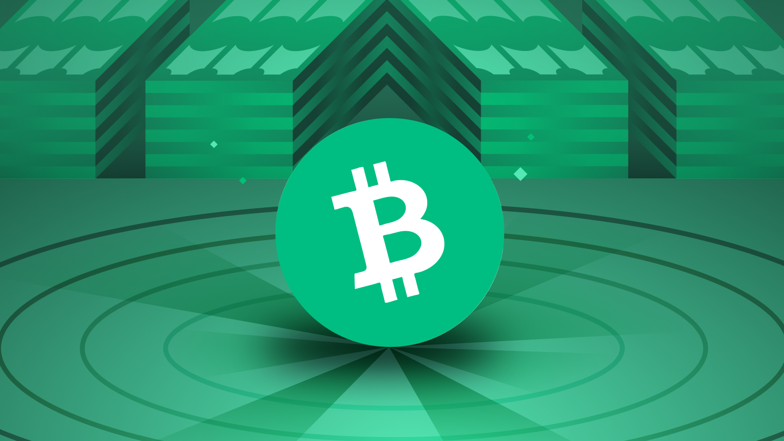 Bitcoin Cash - Peer-to-Peer Electronic Cash