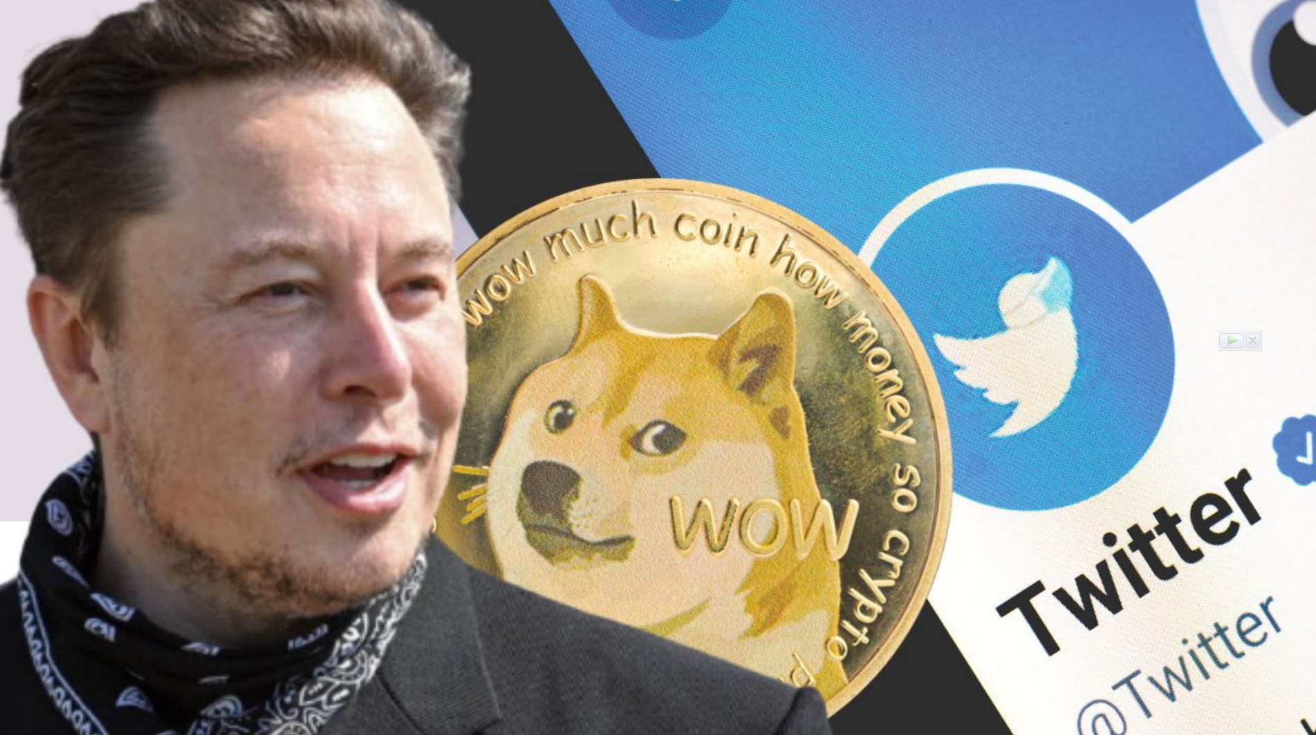 New $ Dogecoin (DOGE) Rival Pumps More Than DOGE In 7 days, Here's Why