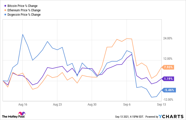 Dogecoin vs. Bitcoin: How Do They Compare?