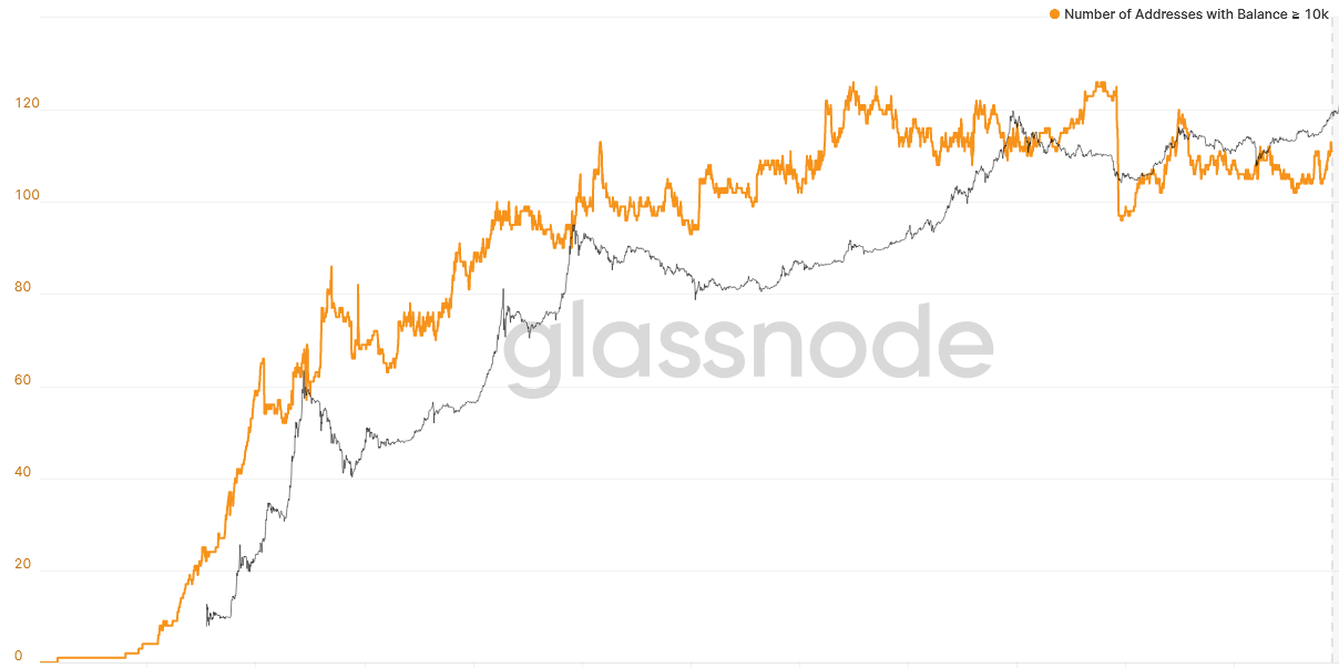 Glassnode Studio - On-Chain Market Intelligence