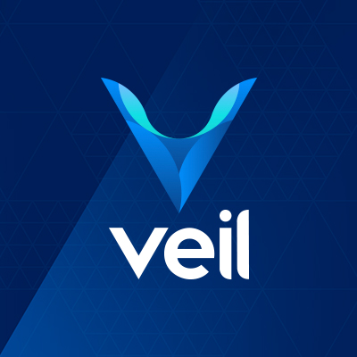 Veil Tools - Network snapshots