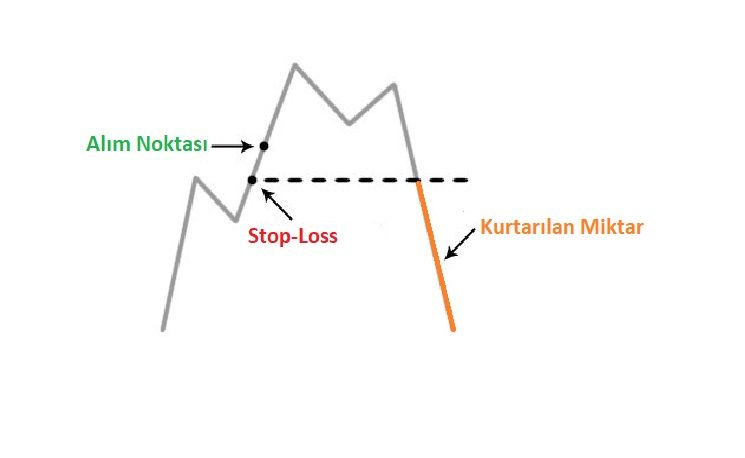 Bitcoin Price Prediction – Forbes Advisor