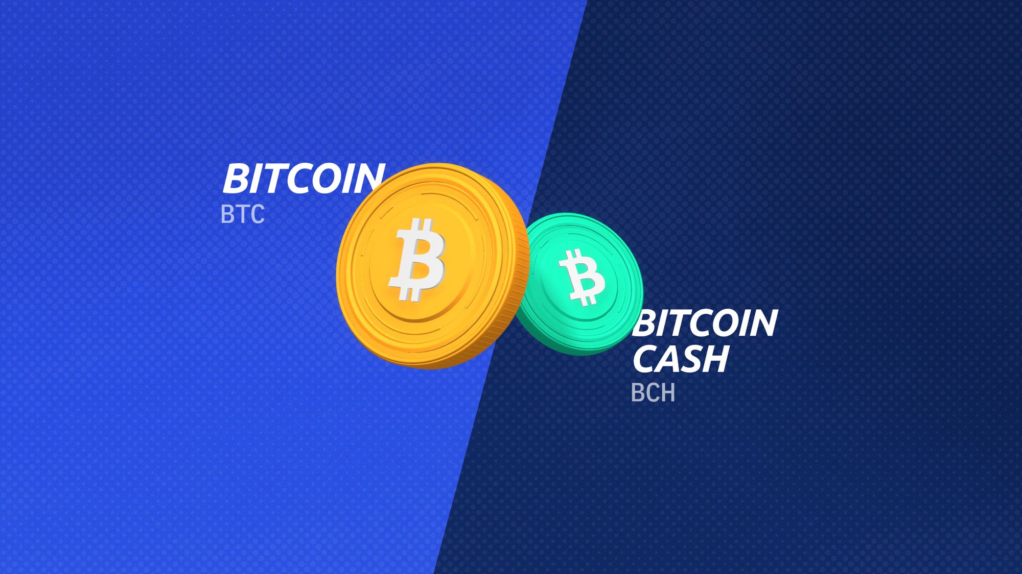 Bitcoin vs Bitcoin Cash - Key Differences and Similarities