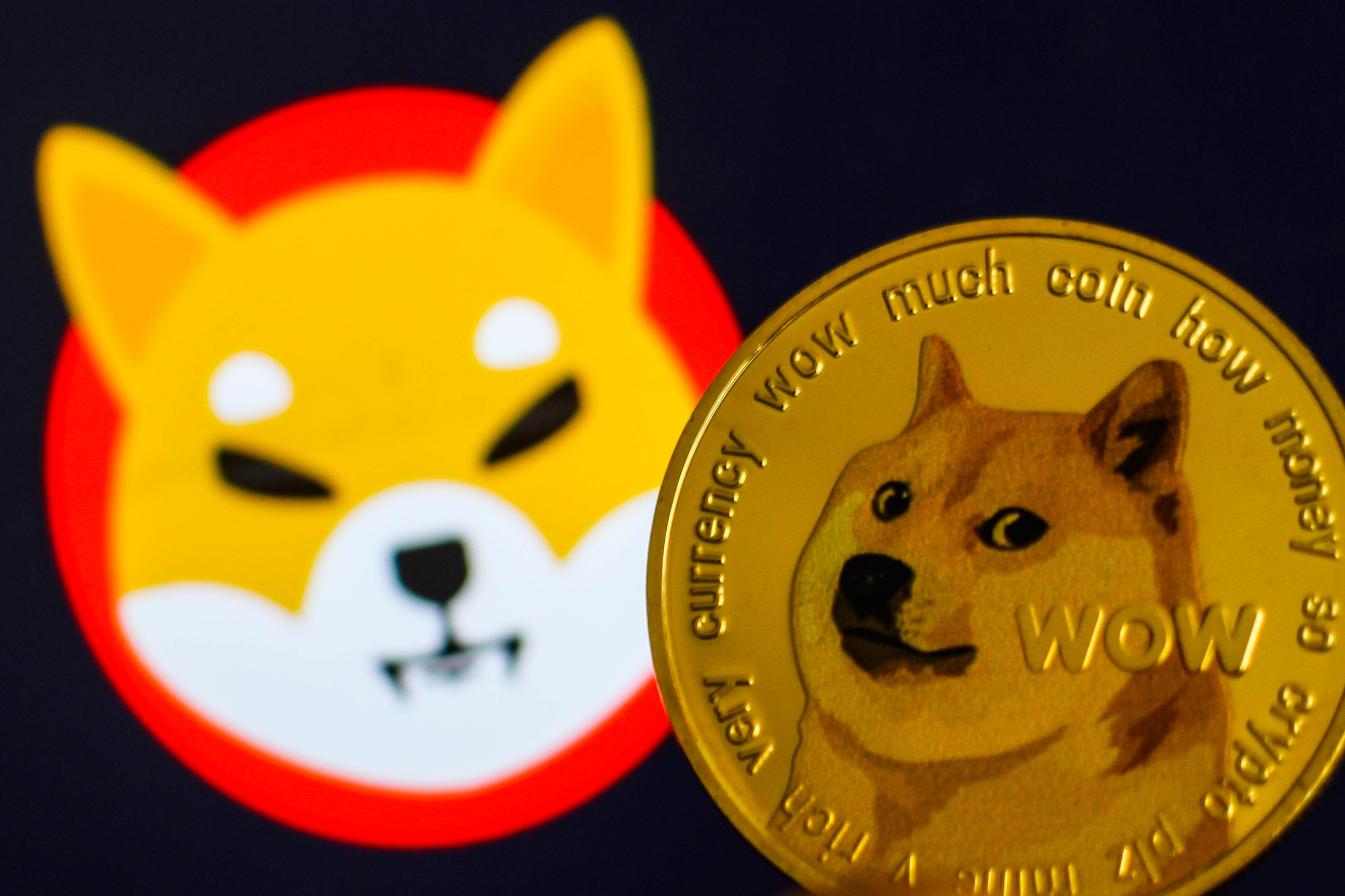 Shiba Inu (SHIB) live coin price, charts, markets & liquidity