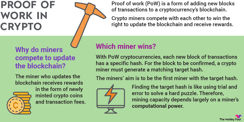 POW(POW) Exchange Wallet Address List and Balance Change | CoinCarp