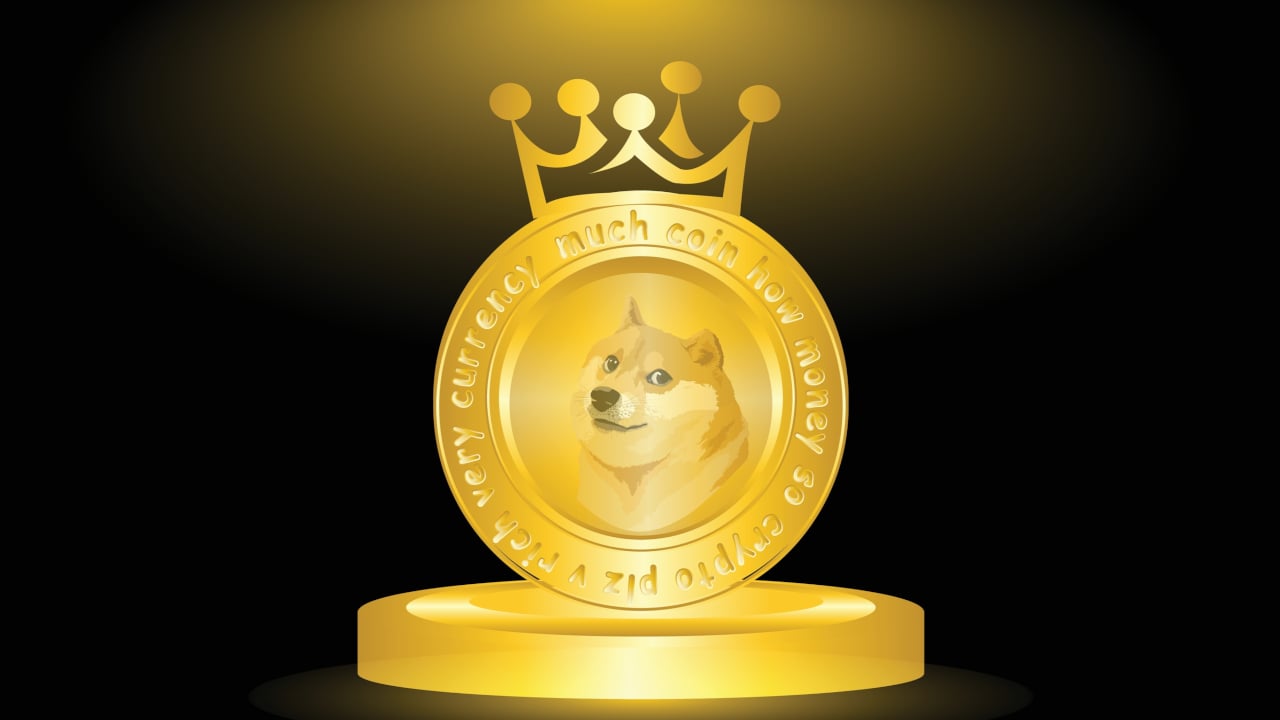 Dogecoin Price History | DOGE INR Historical Data, Chart & News (9th March ) - Gadgets 