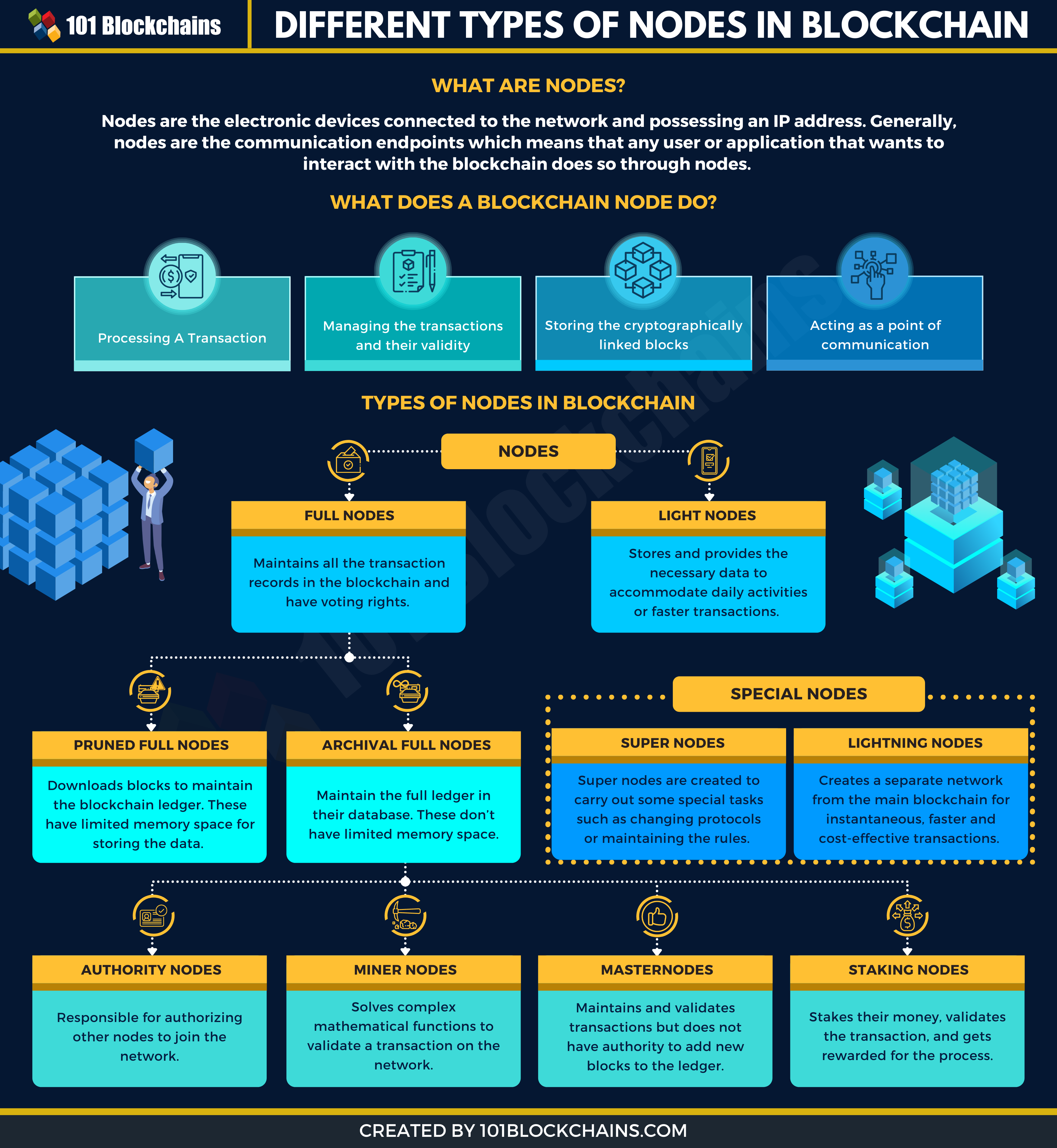 Blockchain Nodes | Definition, Types, Benefits, Challenges, and Roles