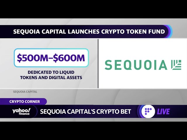 Sequoia Capital Reduces Crypto Fund By 65% In Funding Winter - Equitypandit