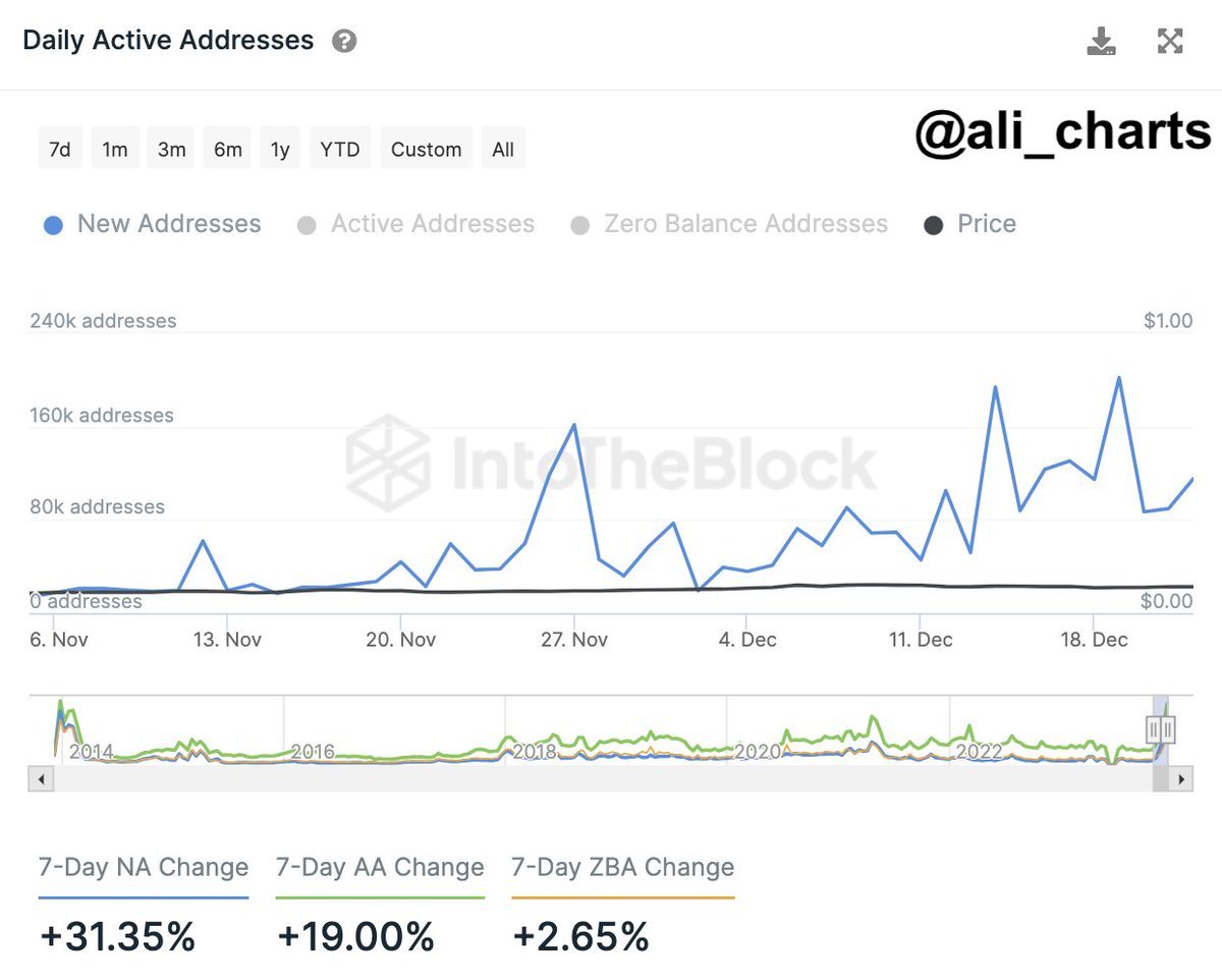 Dogecoin Owners Back in Green YTD as Meme Stocks Rip - Blockworks