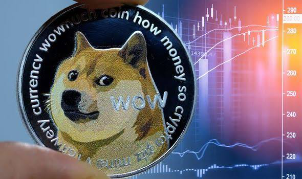 Will Dogecoin Ever Go Back Up or Continue to Drop? | Investment U