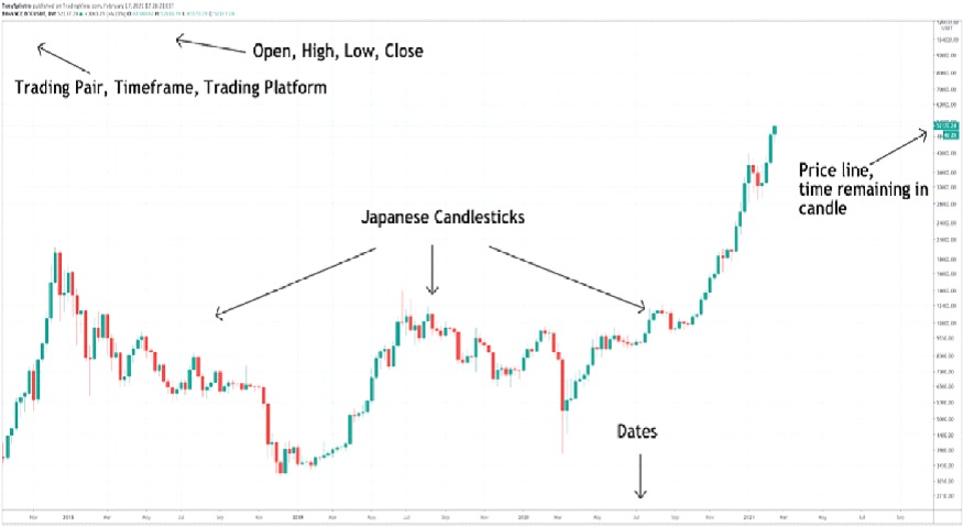 How to read Crypto charts?