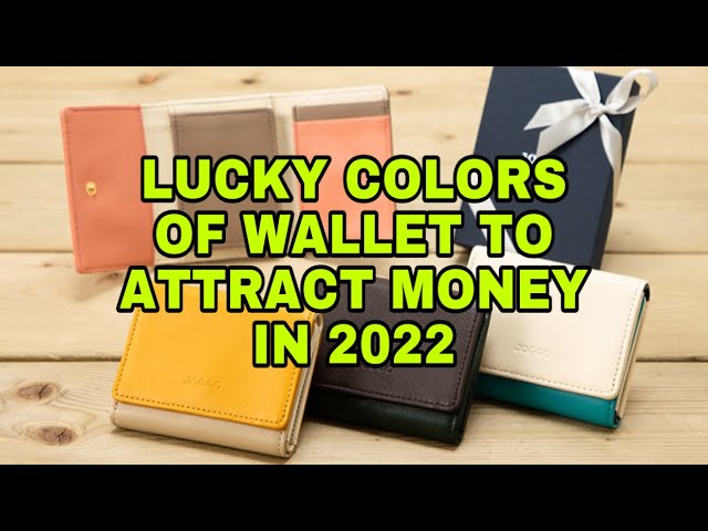 15 Lucky Wallet Colors For Money Magnet: Dos + Don’ts | Colorful wallet, Wallet, White wallet