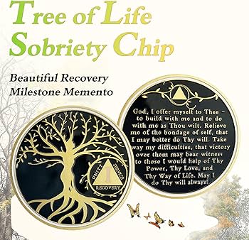 AA Chips and Sober Medallions | Sobriety Coin | Recovery Chips