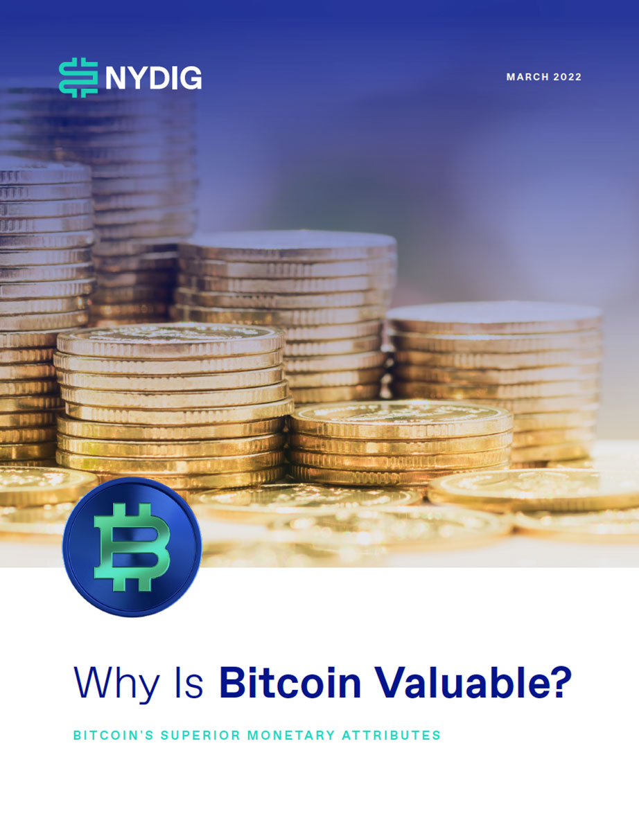 What Determines Bitcoin's Price?