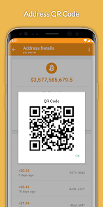 Check Bitcoin Wallet Address Balance - Online Tool | BitRef