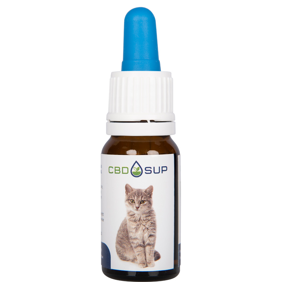 CBD for Cats | High-Quality CBD Treats, Bites, and Oil