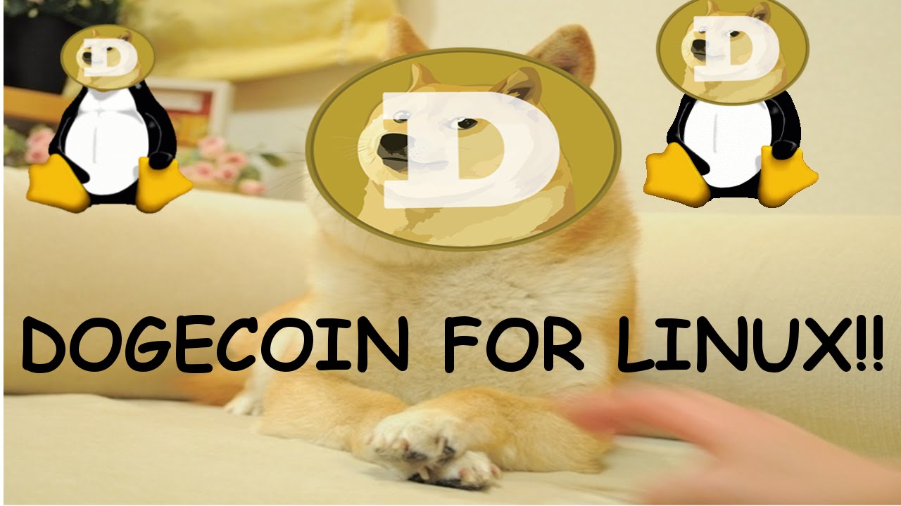 A Developer Guide to Dogecoin Testnet Syncing Node Setup On Linux