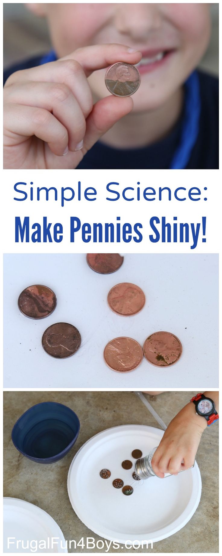 Gold and Silver Pennies Chemistry Project