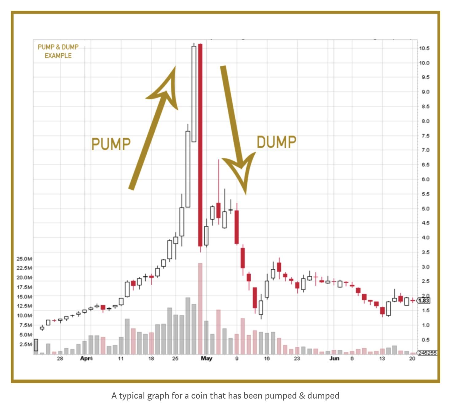 8 Crypto to consider buying now for the next bull run in - The Economic Times