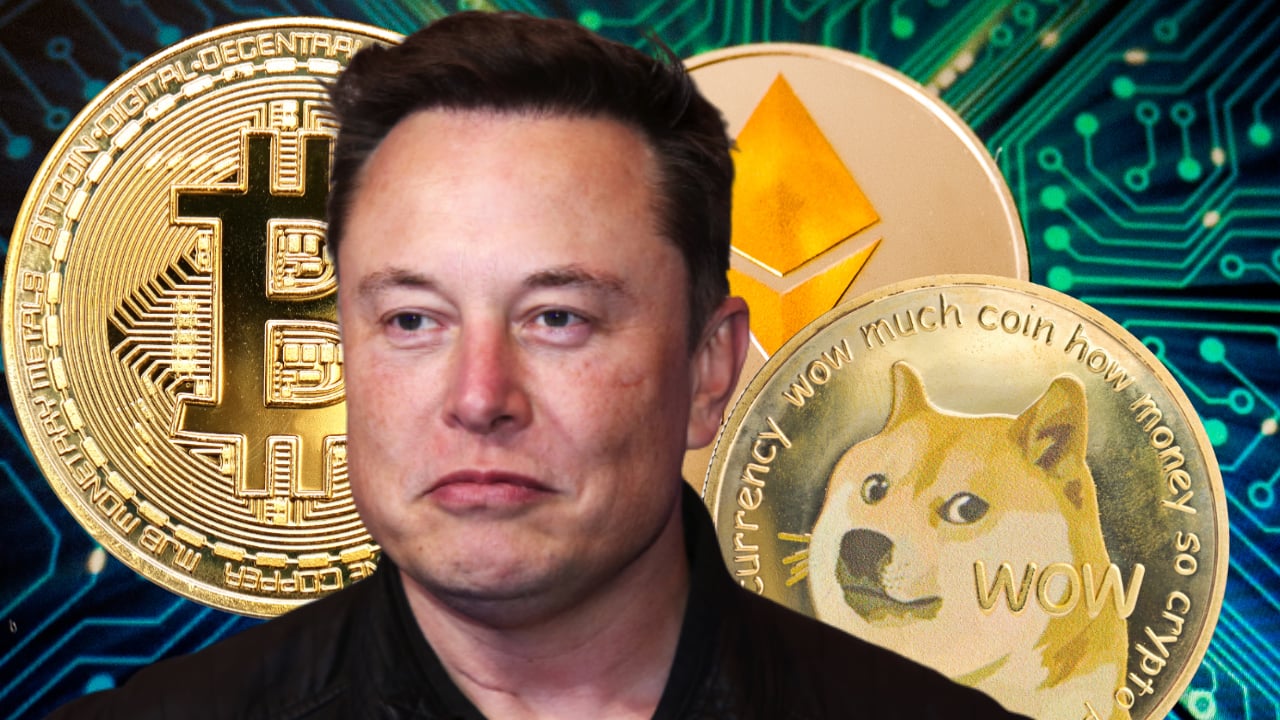 Elon Musk - CoinDesk