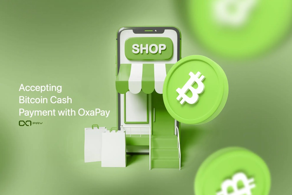 Accept Bitcoin Cash payments | NOWPayments