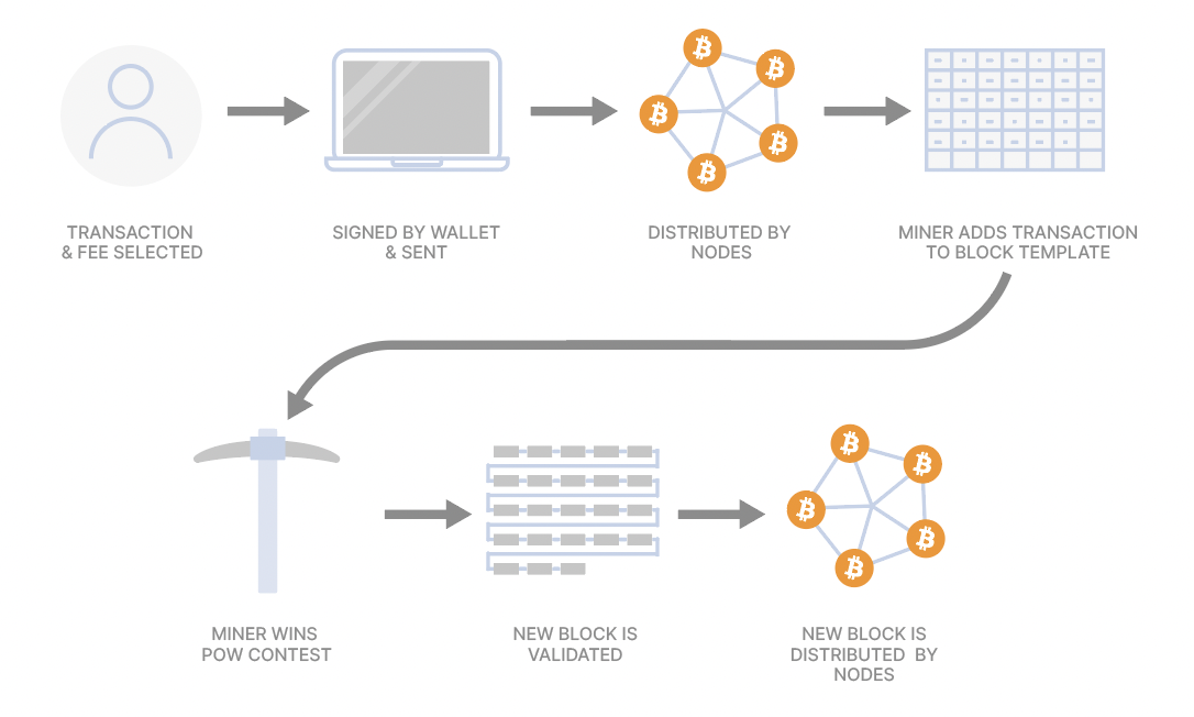 Bitcoin Node Explained | Full BTC Nodes vs. Bitcoin Miners