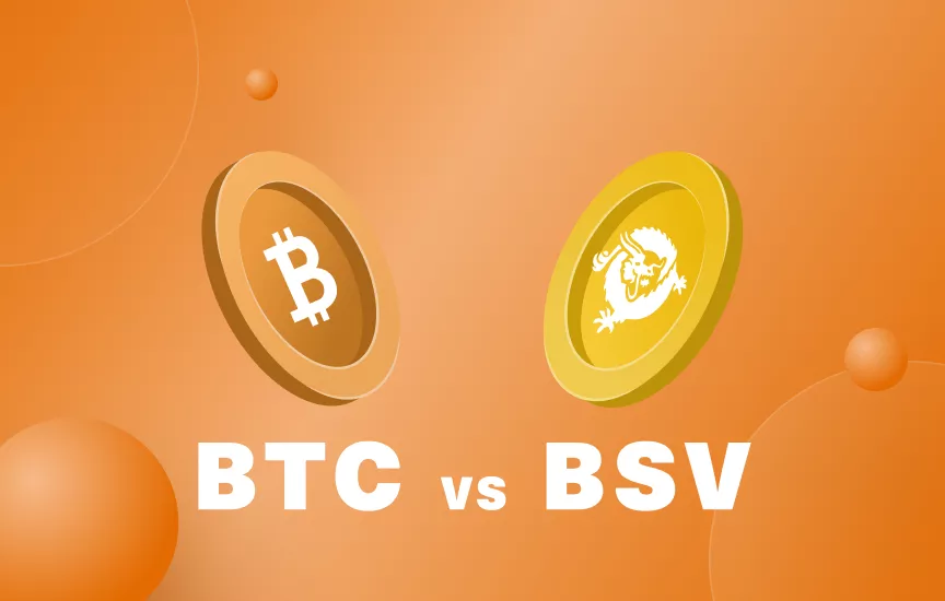 BSV Blockchain :: About