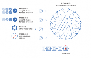 Algorand Full Guide - What is Algorand and the ALGO Token?