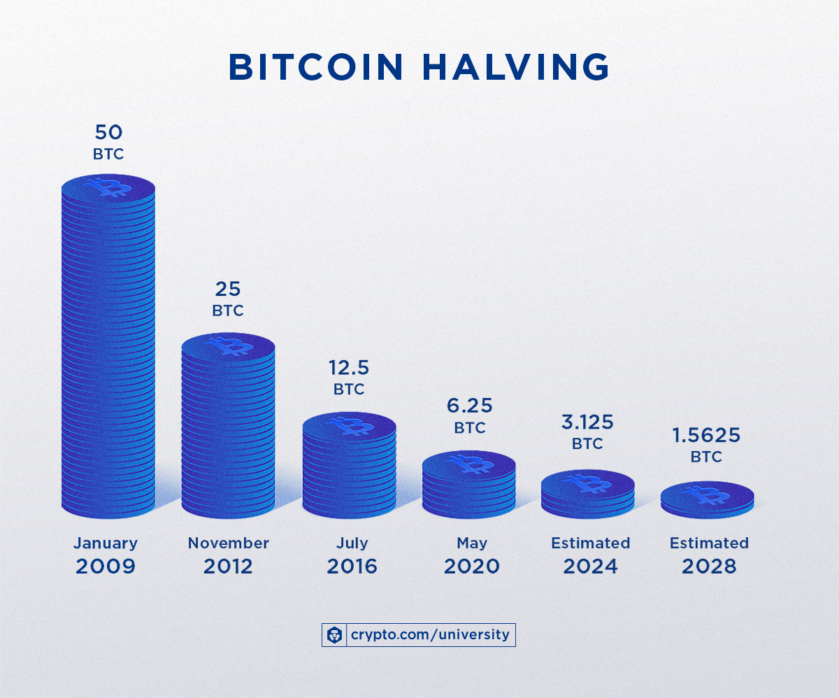 Menuju Bitcoin Halving Semua yang Perlu Dipersiapkan Investor | coinvestasi