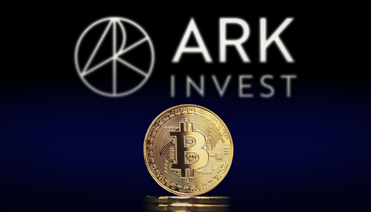 Ark Rivals Price Today (USD) | ARKN Price, Charts & News | bitcoinlog.fun