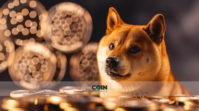 1 DOGE to PKR - Dogecoins to Pakistani Rupees Exchange Rate