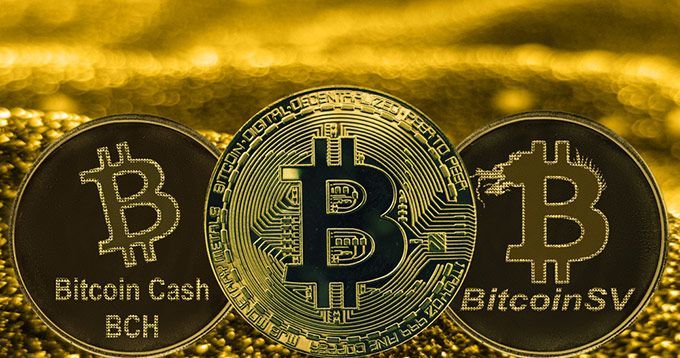 1 BTC to BCH - Bitcoins to Bitcoin Cash Exchange Rate