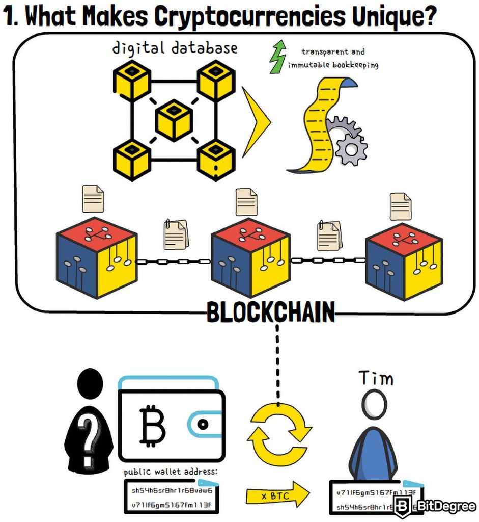 What are the Types of Cryptocurrency and How Do They Work?