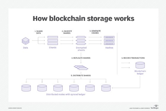 6 Best Decentralized Data Storage Networks | Shardeum